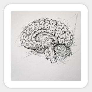 Brain Sticker